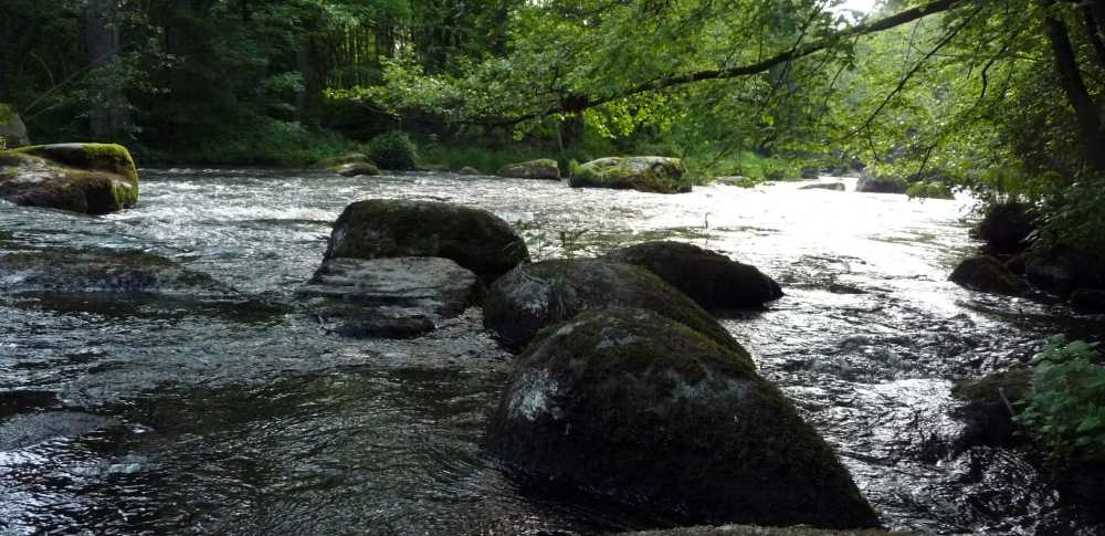 Die Schwarzach im Murnthal ein fischreicher Fluss zum Angeln und Erholen schnell fließende Strecken und ruhige Abschnitte wechseln sich ab Stauwehre