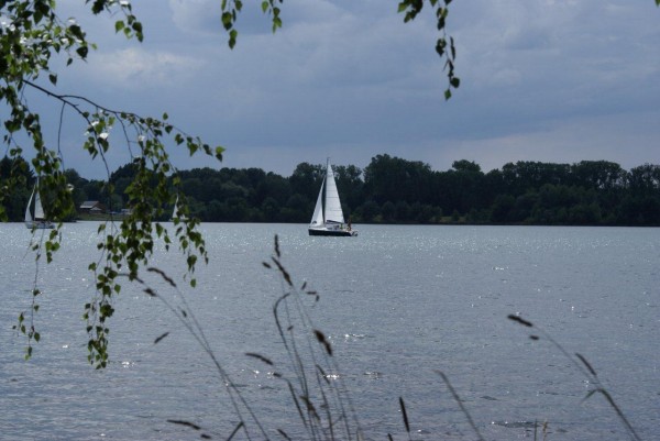 Segeln im Steinberger See oder im Eixendorfer See
